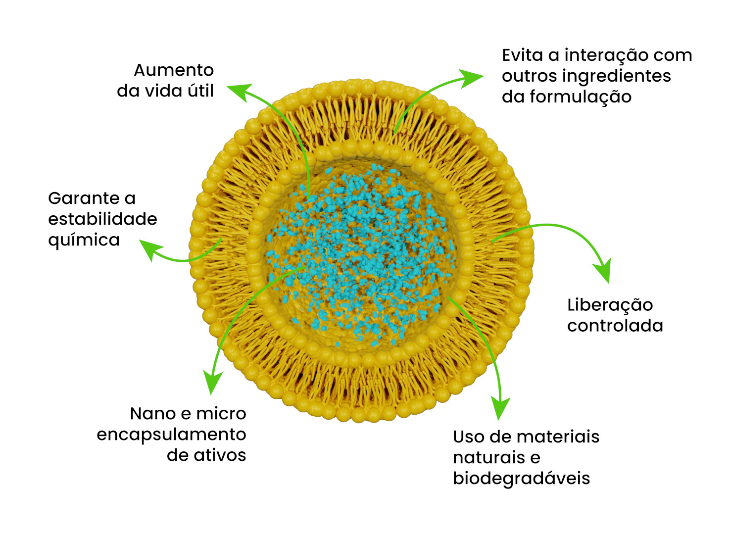 Encapsulados benefícios-01